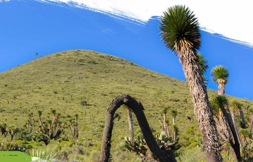Parque Ecológico Cubitos