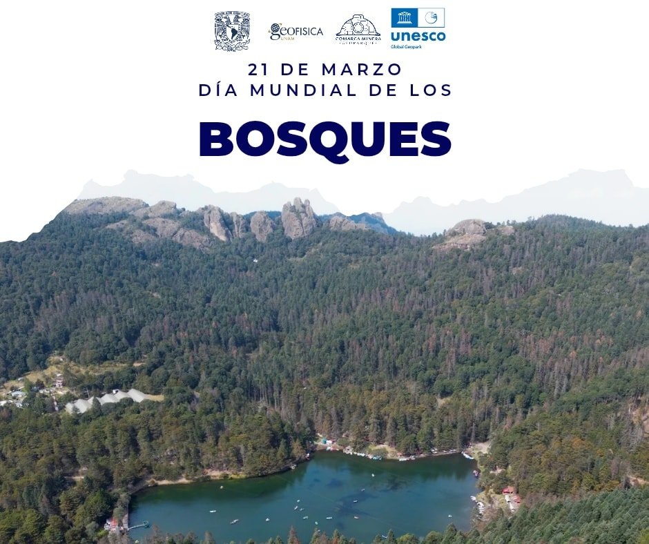 Día Mundial de los Bosques