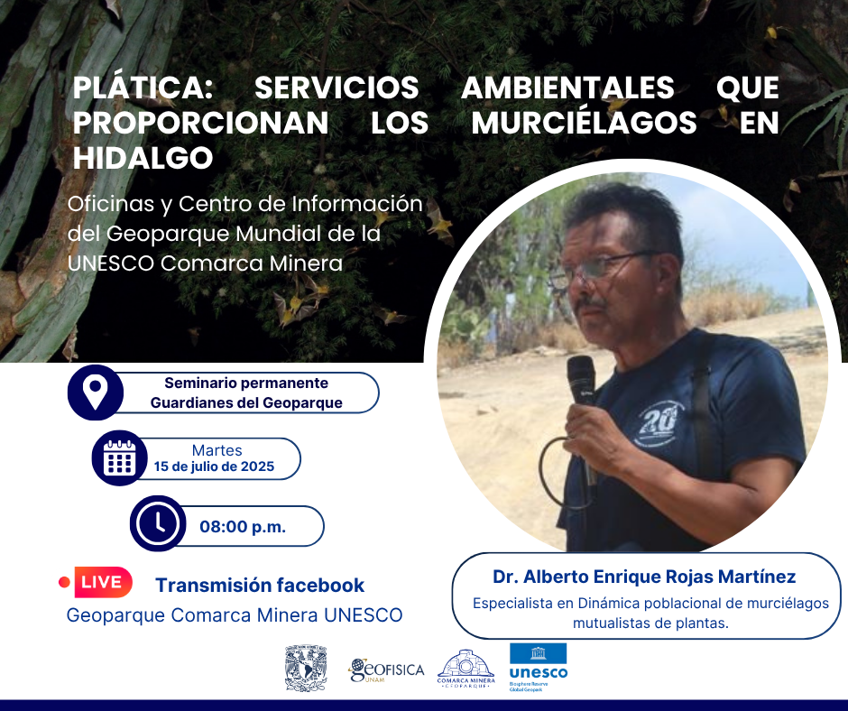 Los servicios ambientales que proporcionan los murciélagos en Hidalgo